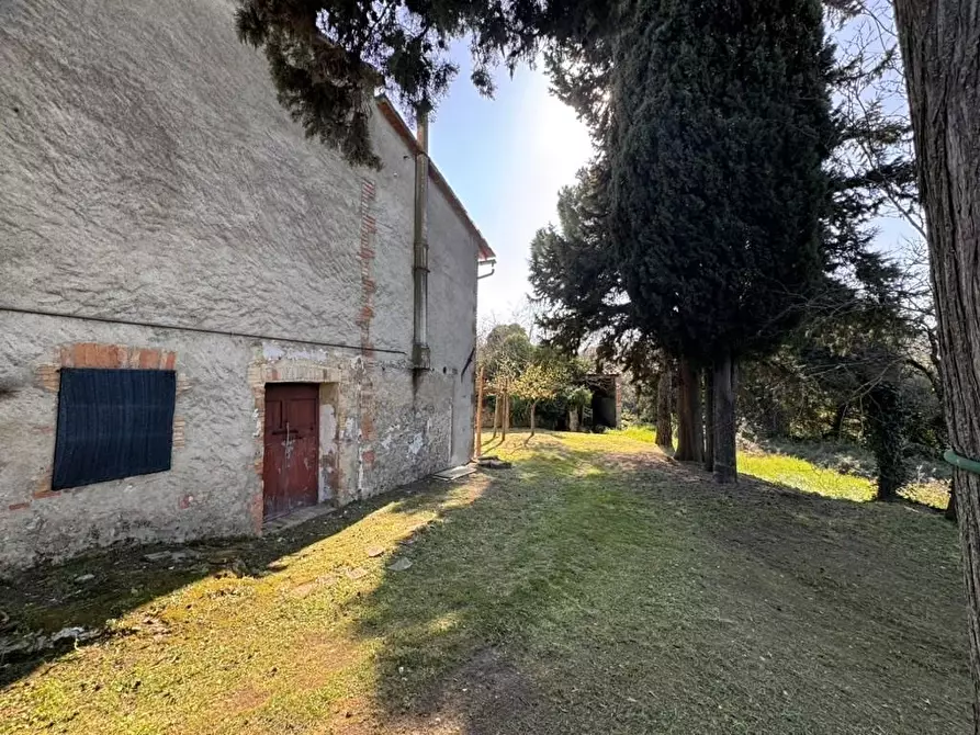 Immagine 5 di Casa indipendente in vendita  a Casole D'elsa