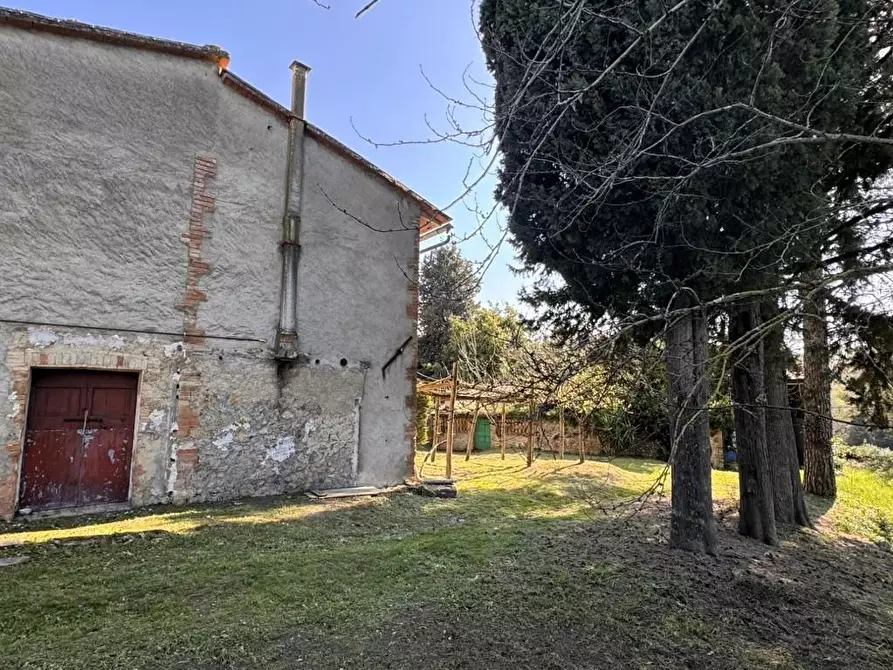 Immagine 6 di Casa indipendente in vendita  a Casole D'elsa