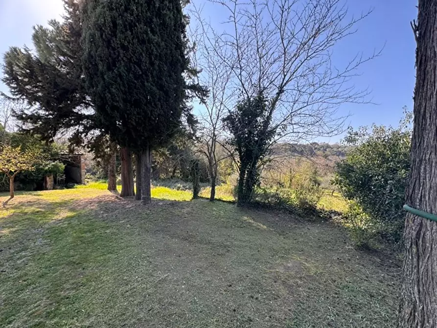 Immagine 20 di Casa indipendente in vendita  a Casole D'elsa