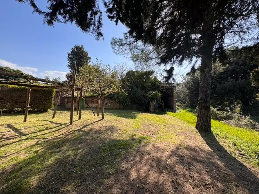 Immagine 19 di Casa indipendente in vendita  a Casole D'elsa