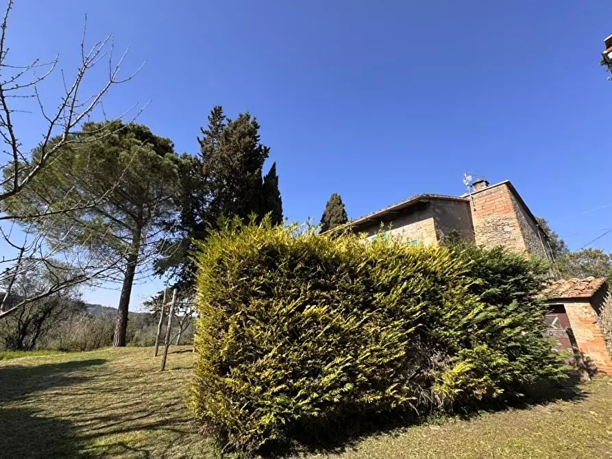 Immagine 13 di Casa indipendente in vendita  a Casole D'elsa