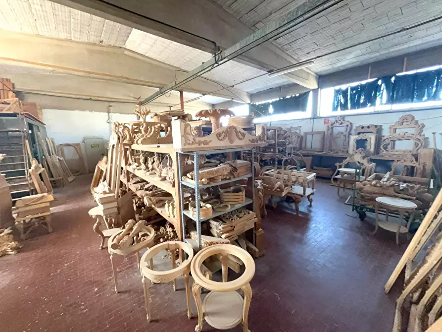 Immagine 15 di Capannone industriale in vendita  a Casciana Terme Lari
