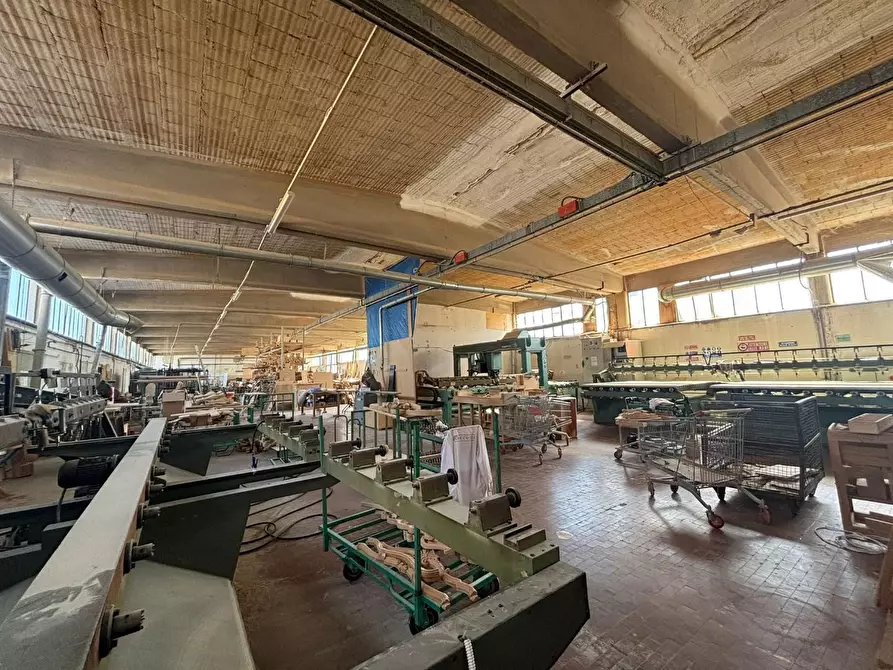 Immagine 9 di Capannone industriale in vendita  a Casciana Terme Lari