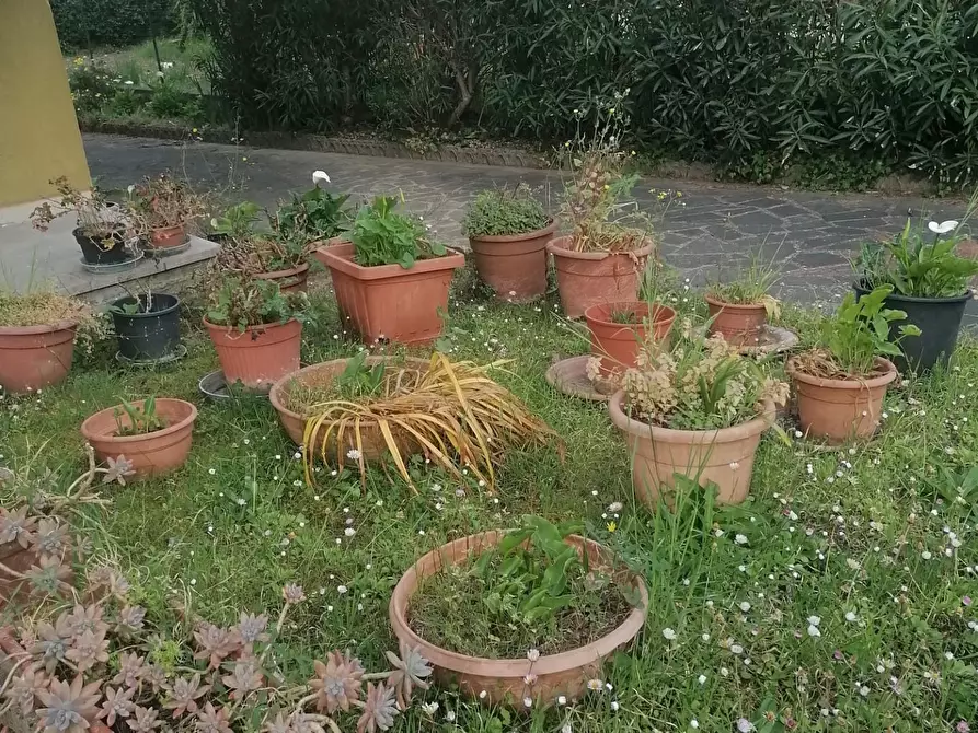 Immagine 22 di Villa in vendita  a Poggio A Caiano