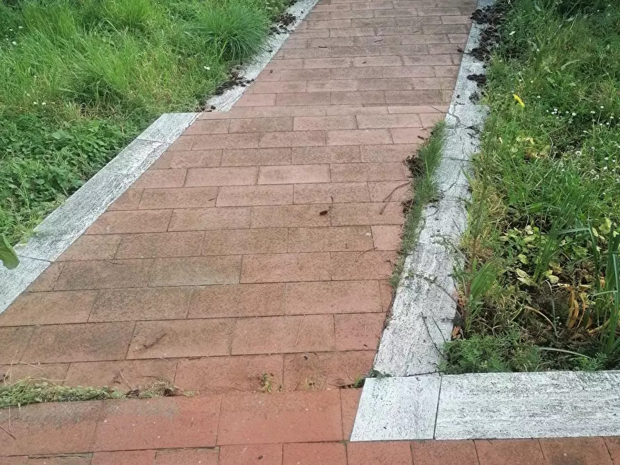 Immagine 3 di Villa in vendita  a Poggio A Caiano