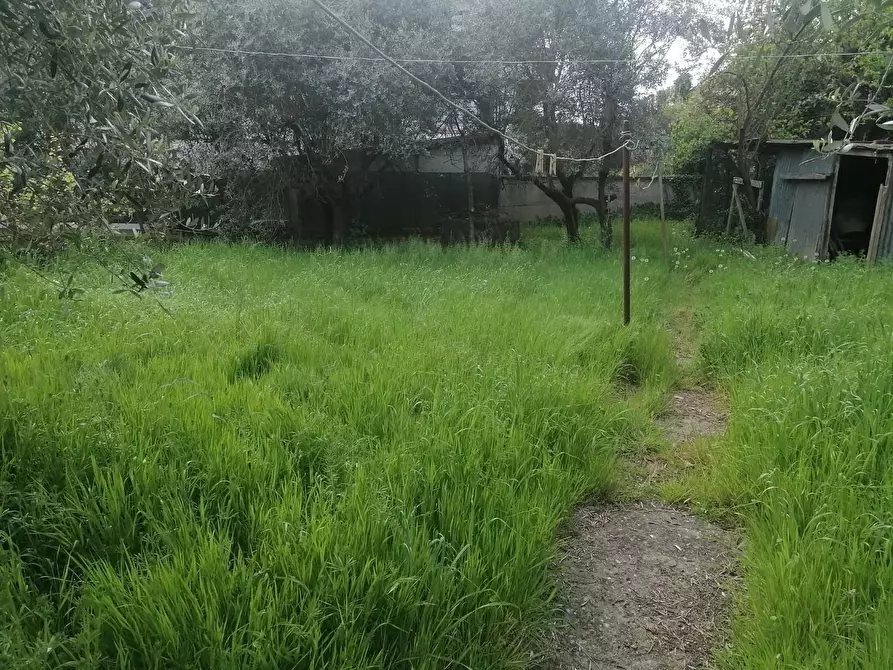 Immagine 4 di Villa in vendita  a Poggio A Caiano