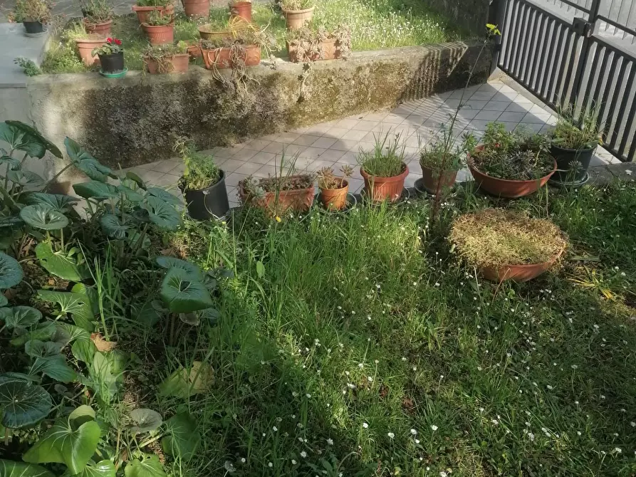 Immagine 2 di Villa in vendita  a Poggio A Caiano