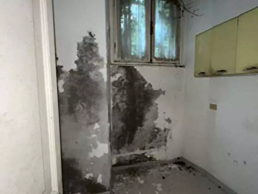 Immagine 9 di Terratetto in vendita  a Novi Ligure