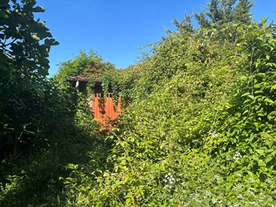 Immagine 41 di Terratetto in vendita  a Novi Ligure