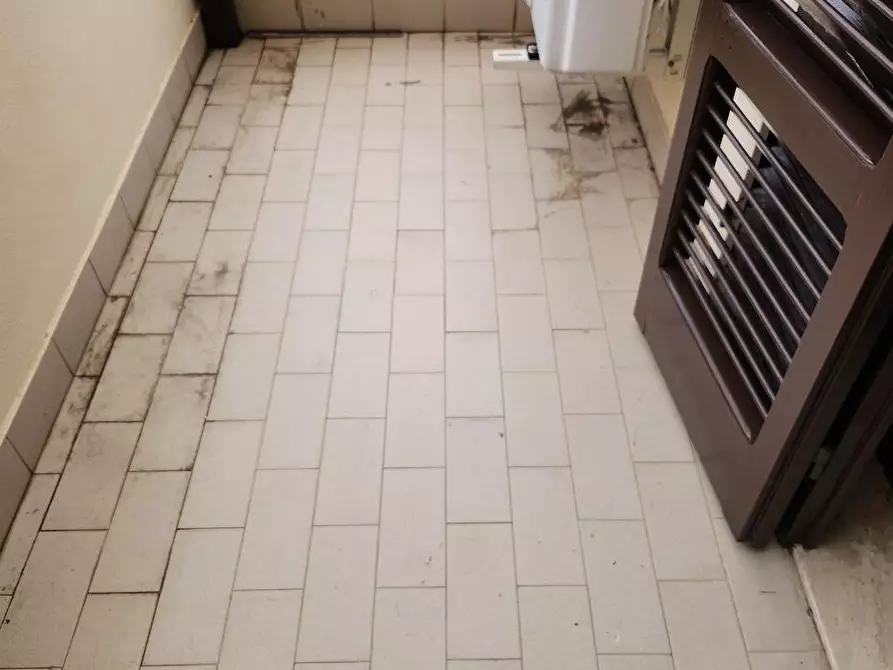 Immagine 14 di Terratetto in affitto  a Santa Croce Sull'arno