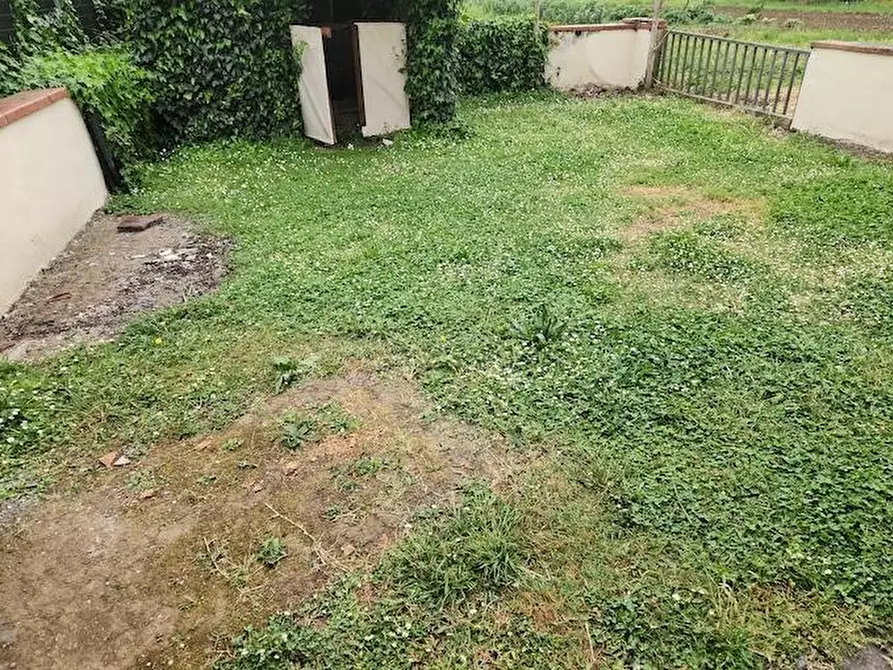 Immagine 3 di Terratetto in affitto  a Santa Croce Sull'arno