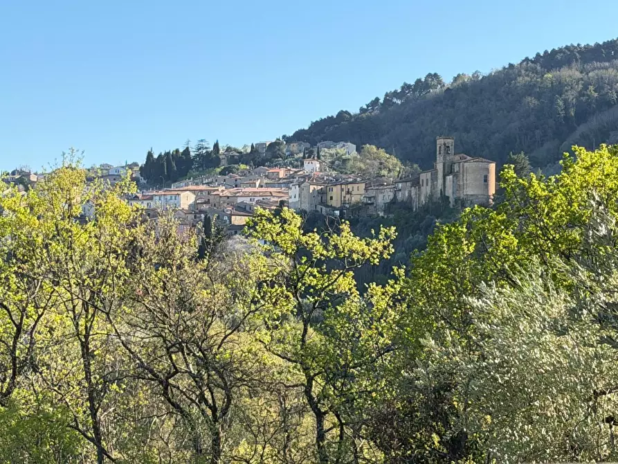 Immagine 18 di Appartamento in vendita  a Chianni