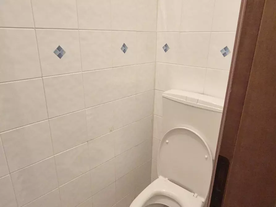 Immagine 21 di Locale commerciale in vendita  a Viareggio