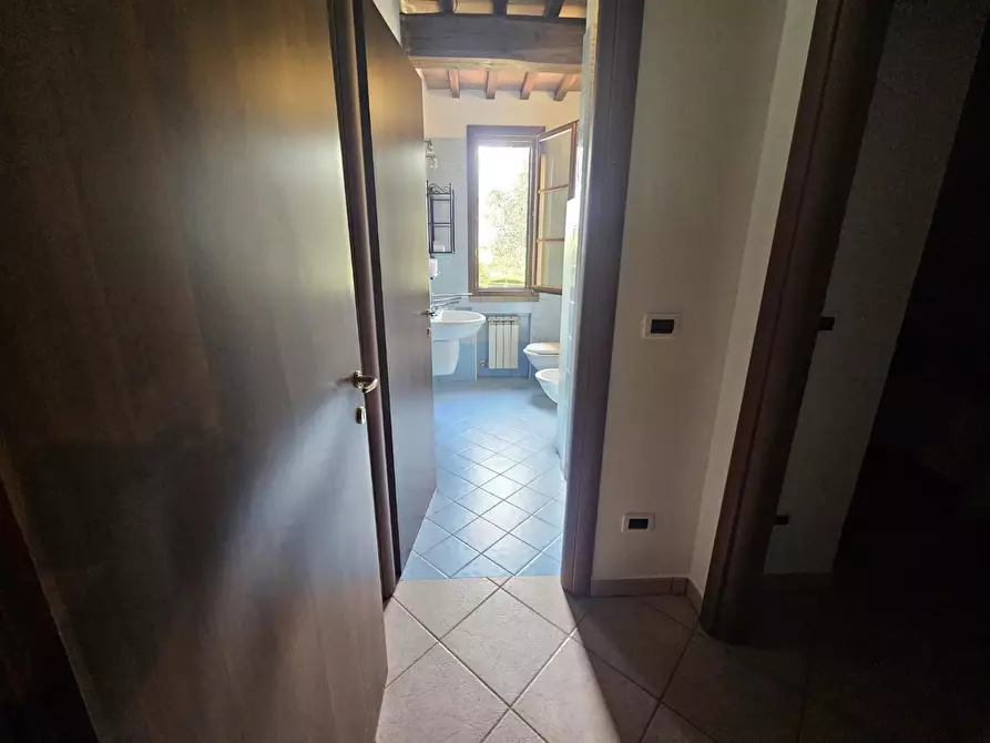 Immagine 17 di Appartamento in vendita  a Santa Luce