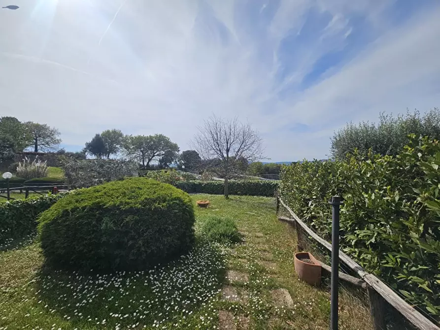 Immagine 6 di Appartamento in vendita  a Santa Luce