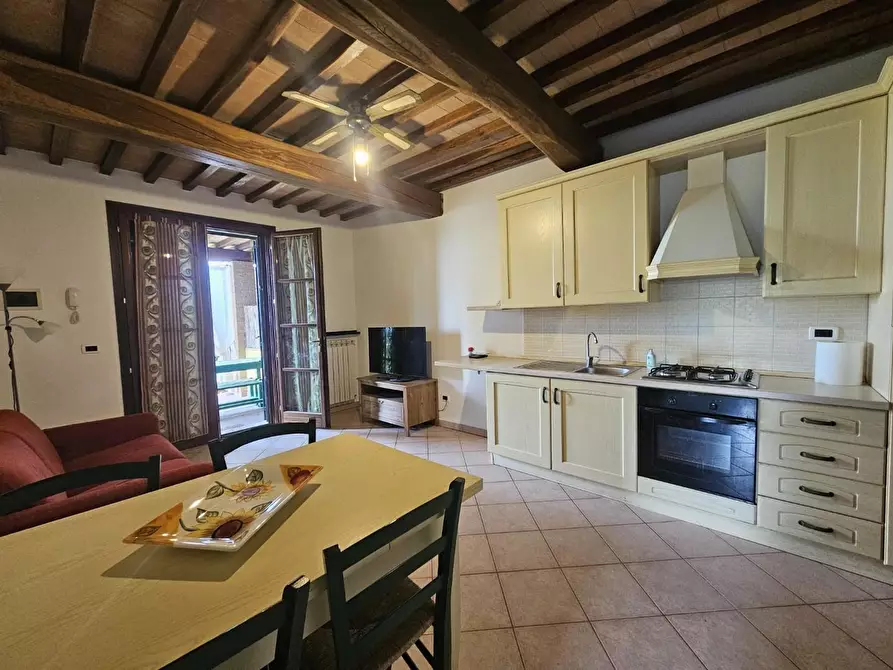 Immagine 13 di Appartamento in vendita  a Santa Luce