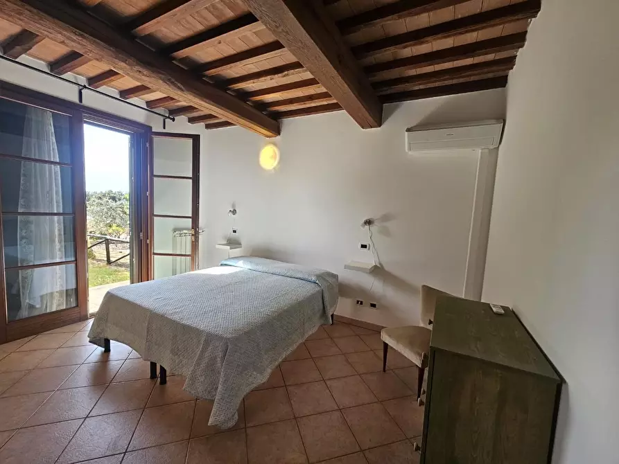 Immagine 23 di Appartamento in vendita  a Santa Luce