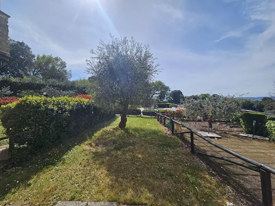 Immagine 5 di Appartamento in vendita  a Santa Luce