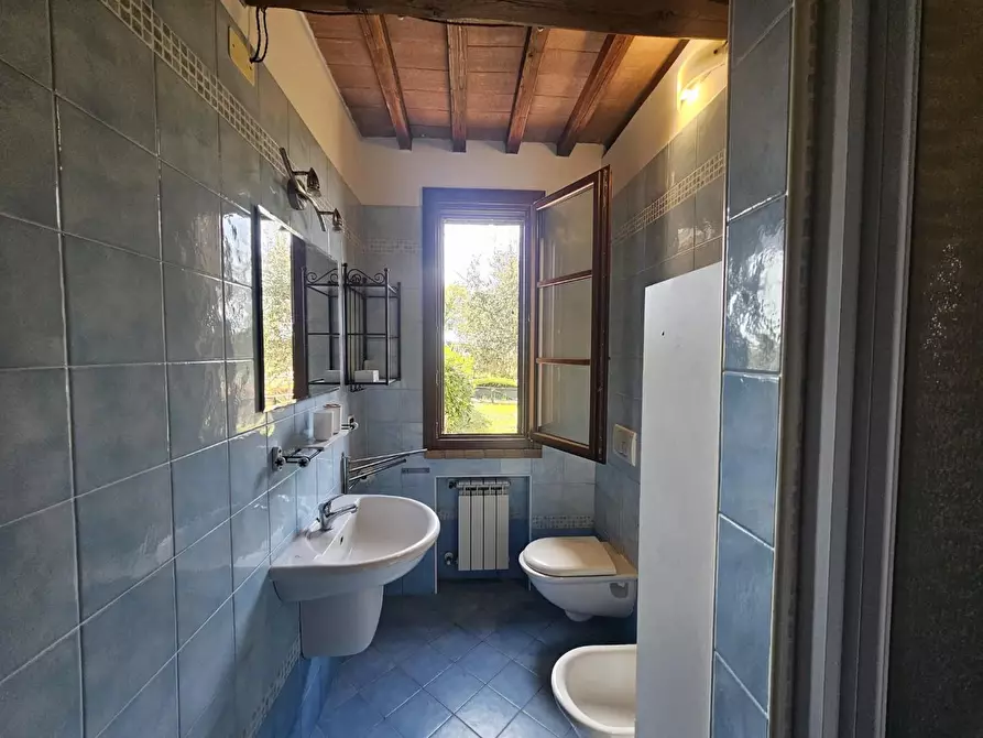 Immagine 19 di Appartamento in vendita  a Santa Luce