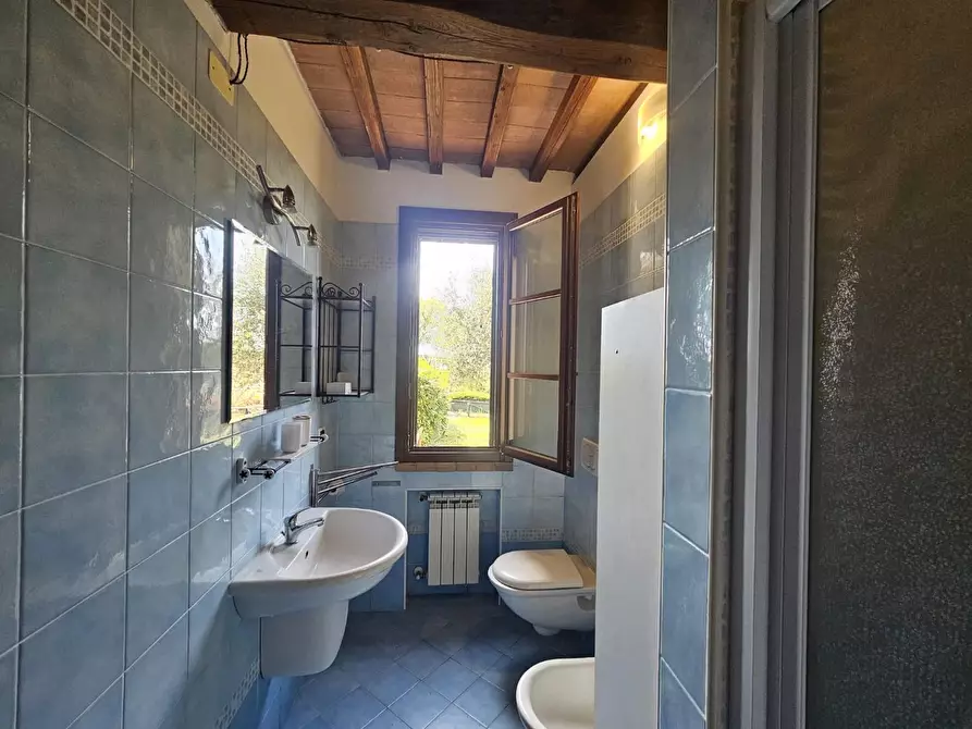 Immagine 18 di Appartamento in vendita  a Santa Luce