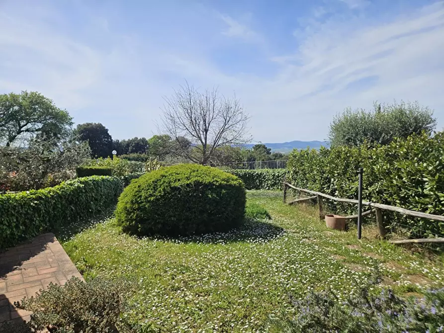 Immagine 7 di Appartamento in vendita  a Santa Luce