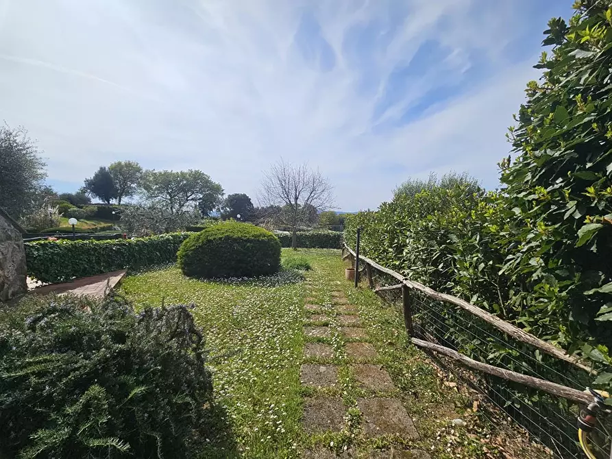 Immagine 3 di Appartamento in vendita  a Santa Luce