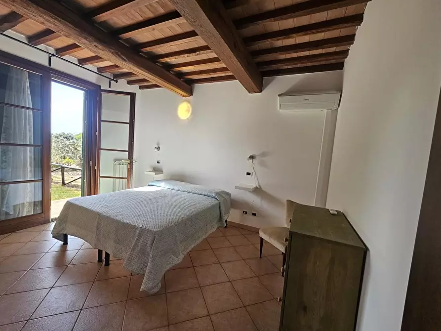 Immagine 21 di Appartamento in vendita  a Santa Luce