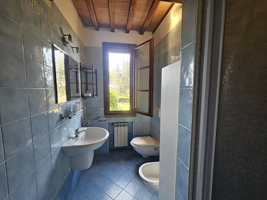 Immagine 17 di Appartamento in vendita  a Santa Luce