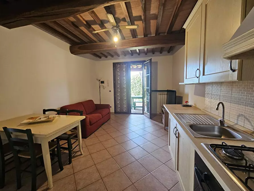 Immagine 11 di Appartamento in vendita  a Santa Luce