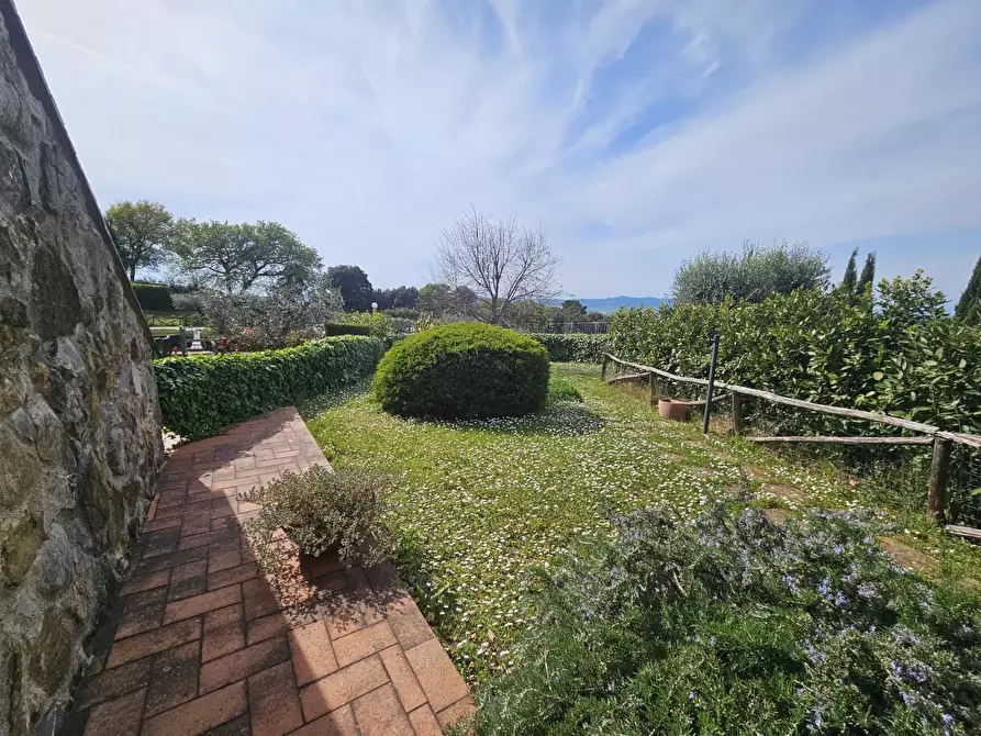 Immagine 6 di Appartamento in vendita  a Santa Luce