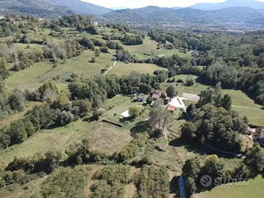 Immagine 2 di Azienda agricola in vendita  a Castiglione Di Garfagnana
