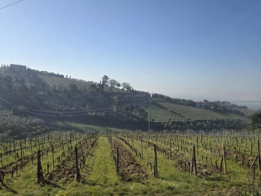 Immagine 2 di Casa indipendente in vendita  a Montecarlo