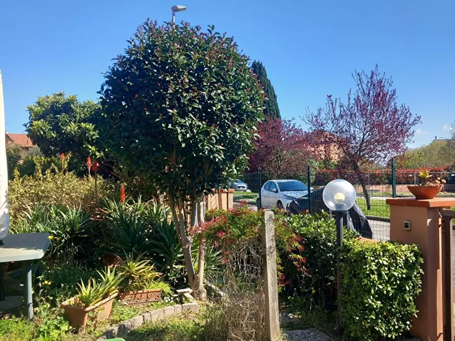 Immagine 12 di Casa quadrifamiliare in vendita  a Pisa