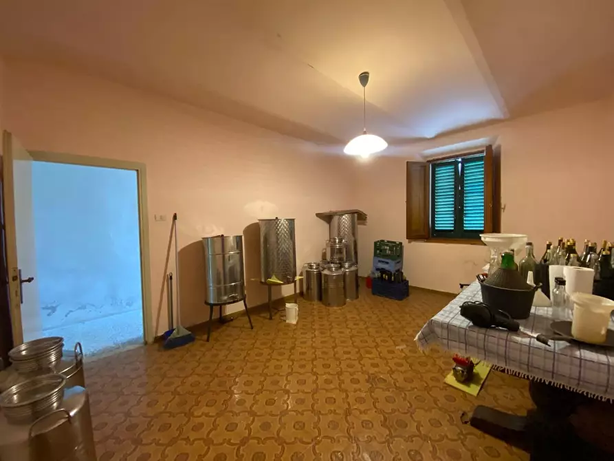 Immagine 3 di Terratetto in vendita  a Carmignano