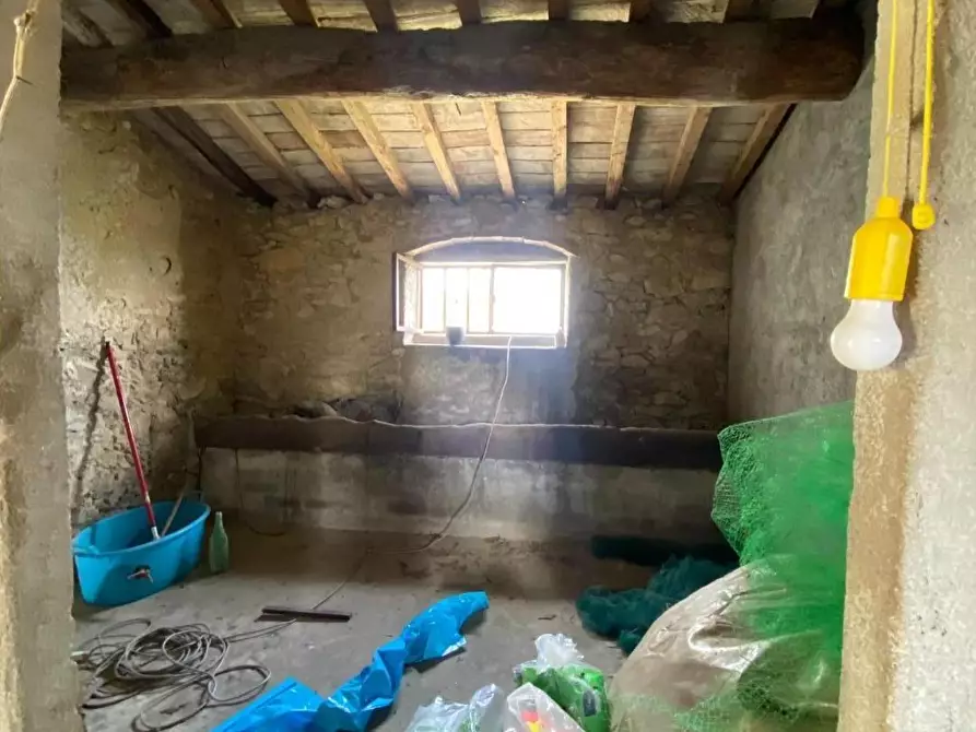 Immagine 22 di Terratetto in vendita  a Carmignano