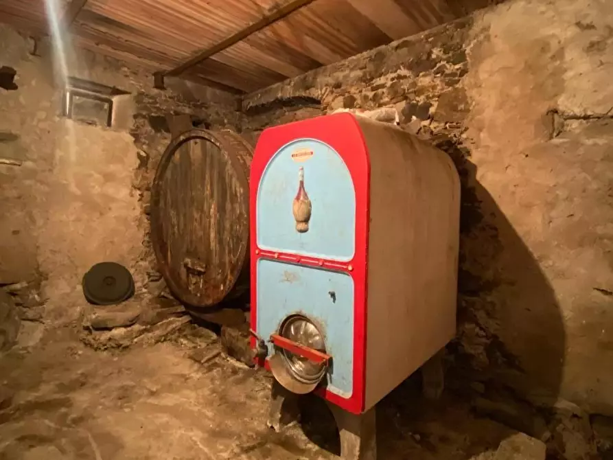 Immagine 18 di Terratetto in vendita  a Carmignano