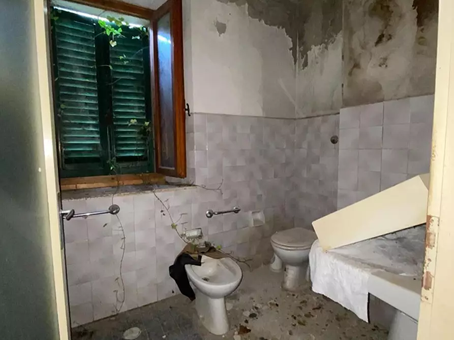 Immagine 17 di Terratetto in vendita  a Carmignano