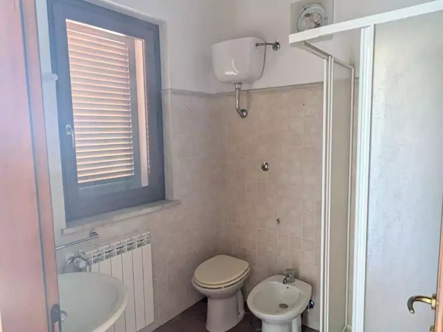 Immagine 12 di Appartamento in vendita  a Manciano