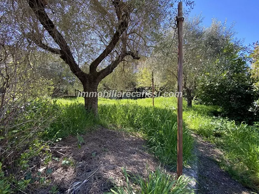 Immagine 36 di Casa indipendente in vendita  a Poggio A Caiano