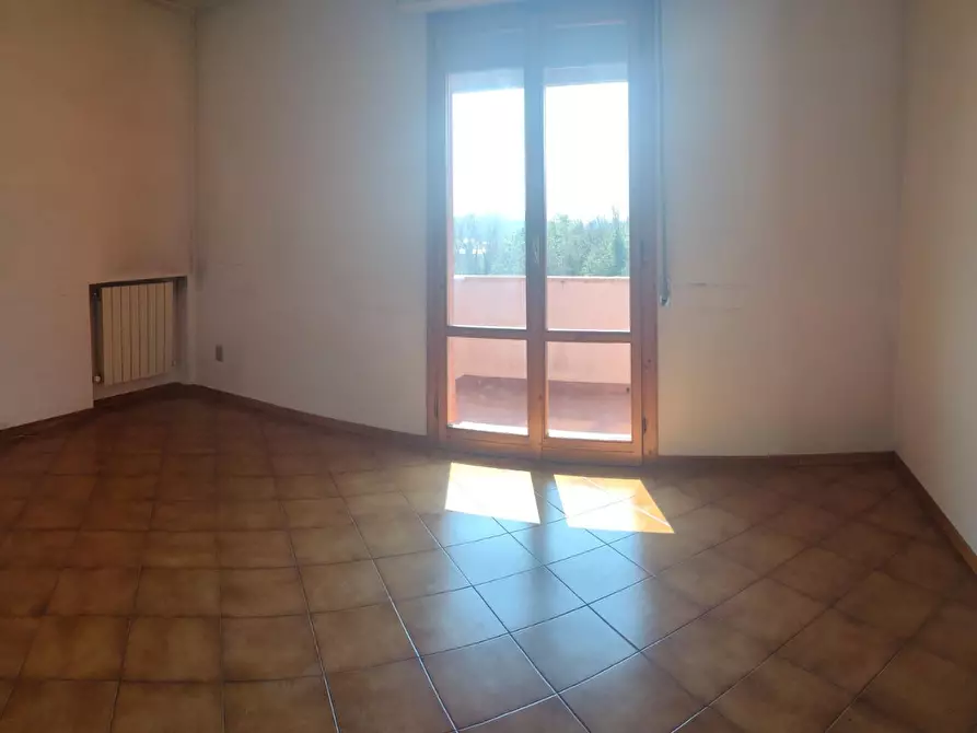 Immagine 6 di Appartamento in affitto  a Pisa