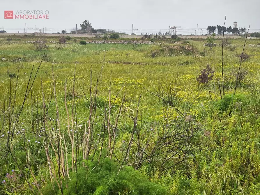 Immagine 6 di Terreno industriale in vendita  a Lecce