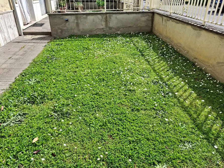 Immagine 4 di Terratetto in vendita  a Capraia E Limite