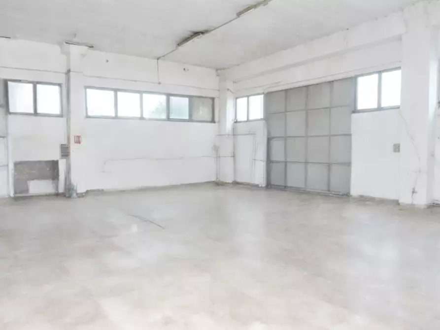 Immagine 1 di Attività artigianale in affitto  a San Giuliano Terme