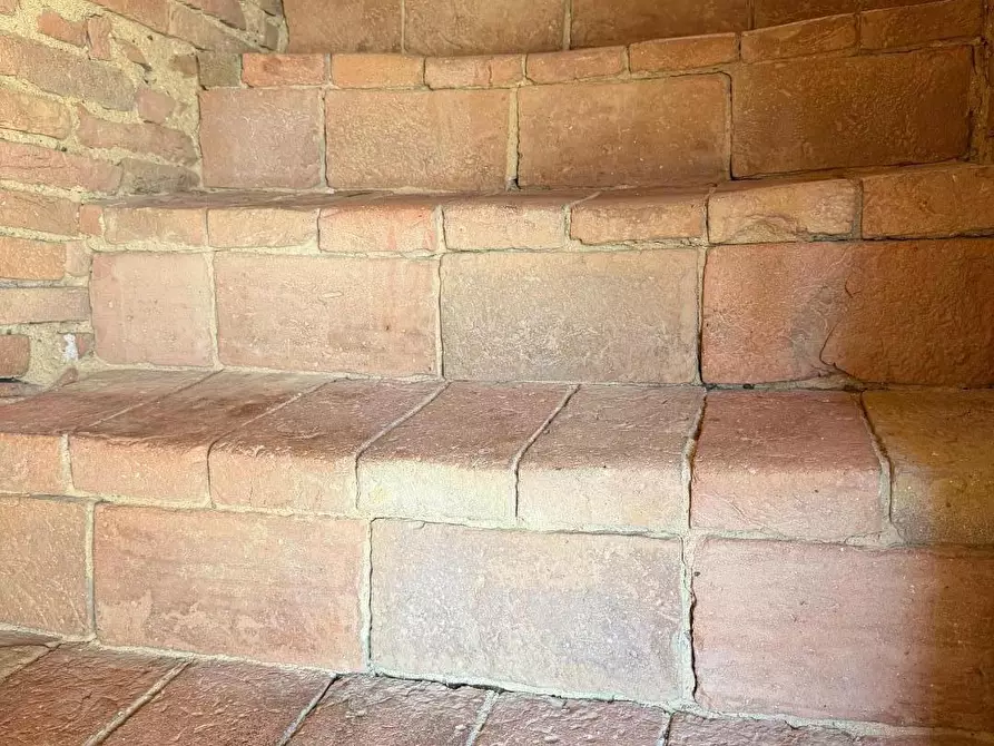 Immagine 36 di Appartamento in vendita  a Casciana Terme Lari