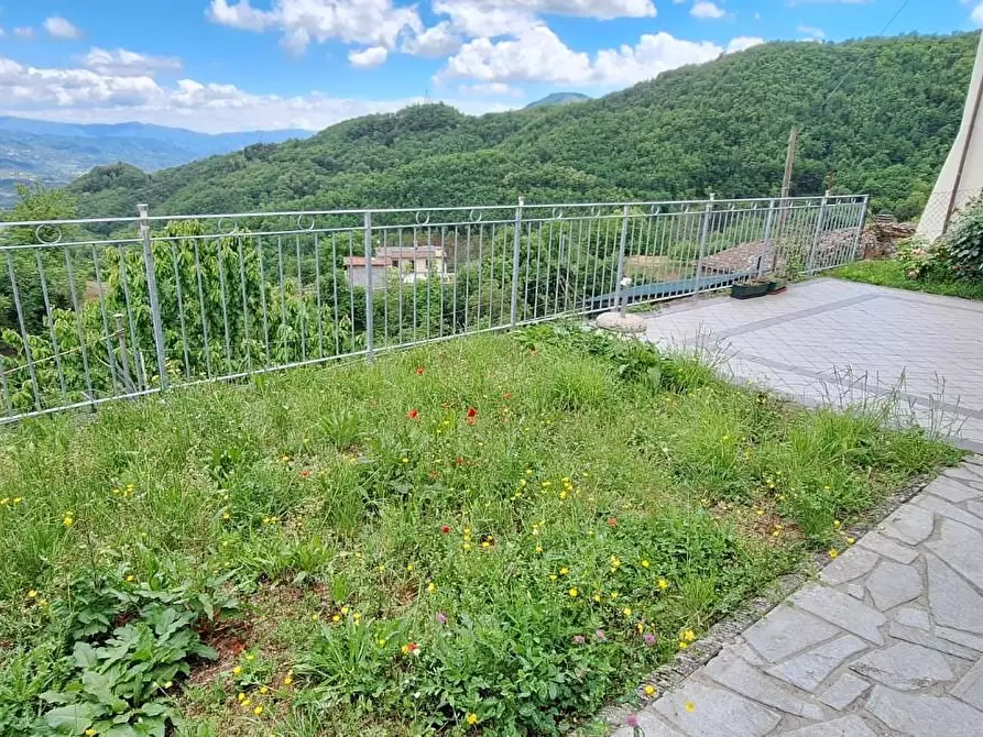 Immagine 15 di Terratetto in vendita  a Molazzana