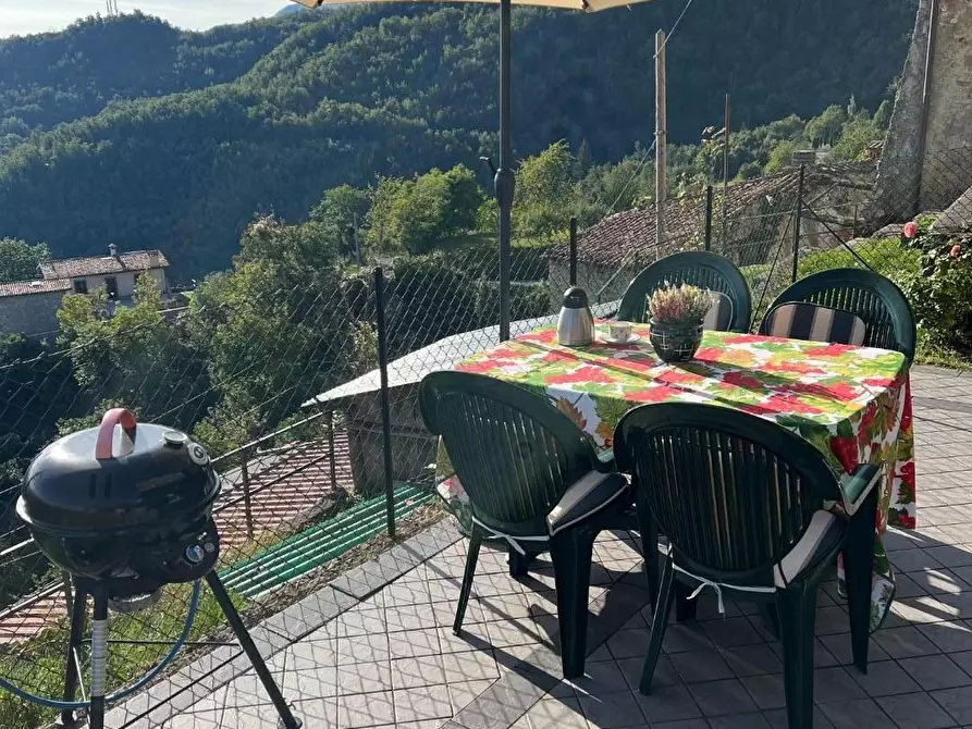 Immagine 1 di Terratetto in vendita  a Molazzana