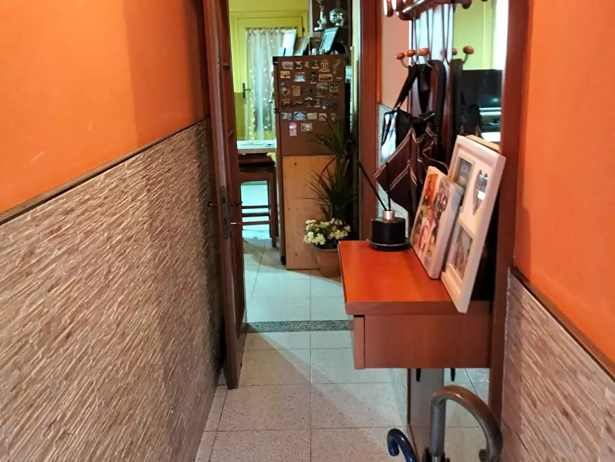 Immagine 10 di Terratetto in vendita  a San Giuliano Terme