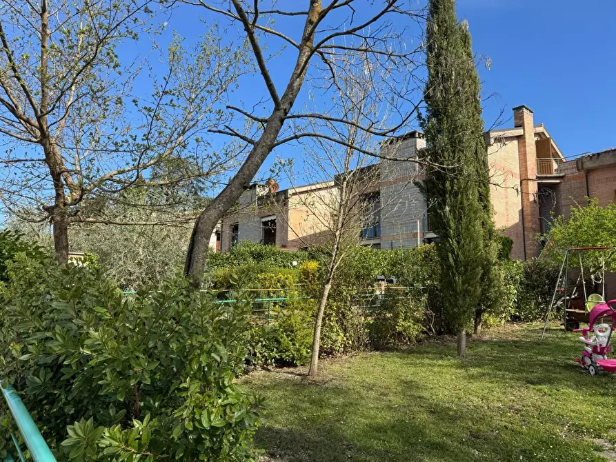Immagine 5 di Terratetto in vendita  a Castelnuovo Berardenga