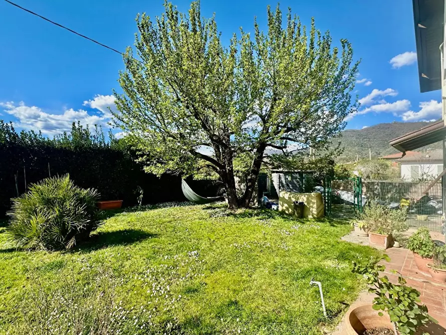 Immagine 7 di Casa indipendente in vendita  a Carrara