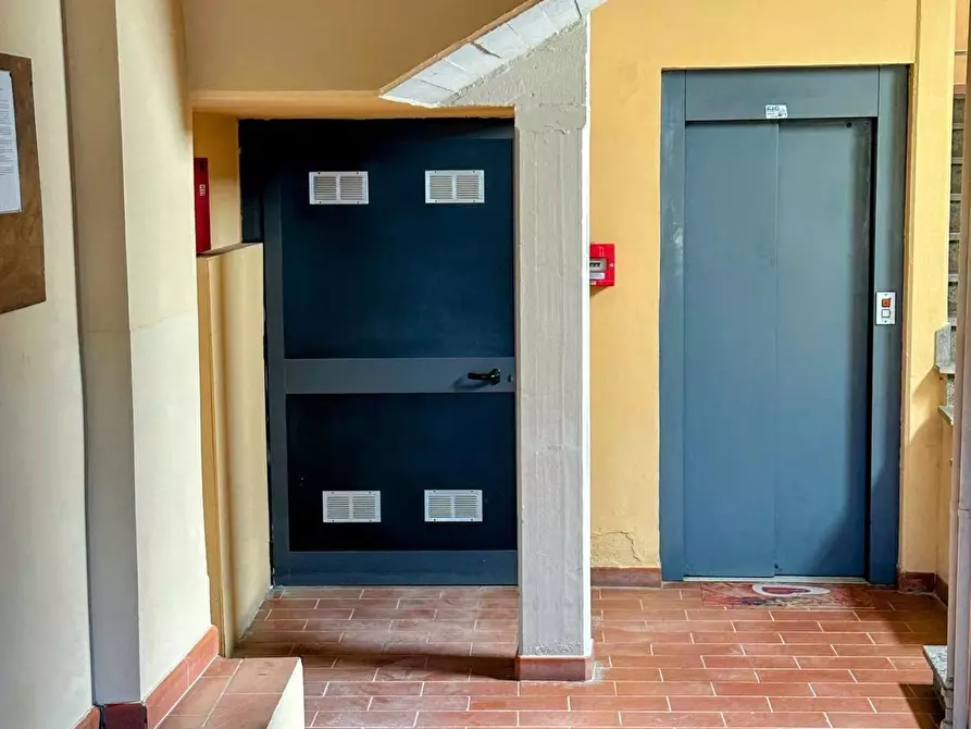 Immagine 11 di Appartamento in vendita  a Campiglia Marittima